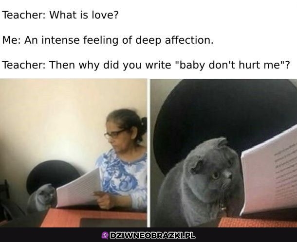 What is love?