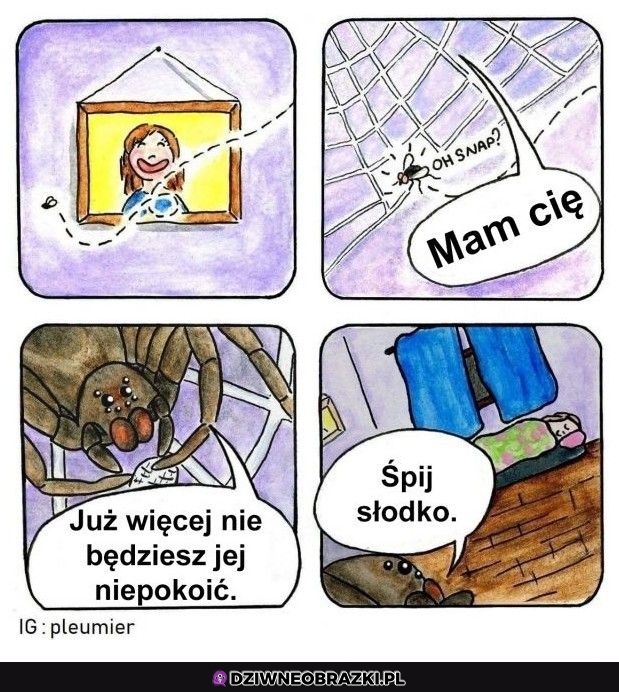 Dziękuję