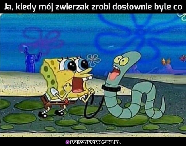 To ja