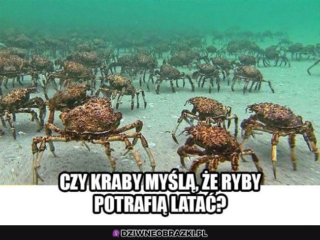 Dobre pytanie