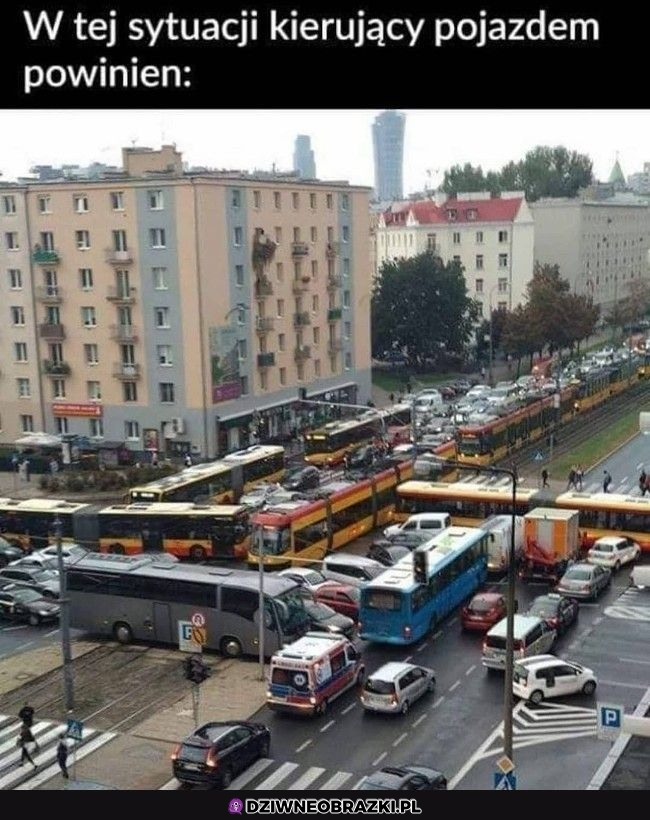 Witamy w Warszawie