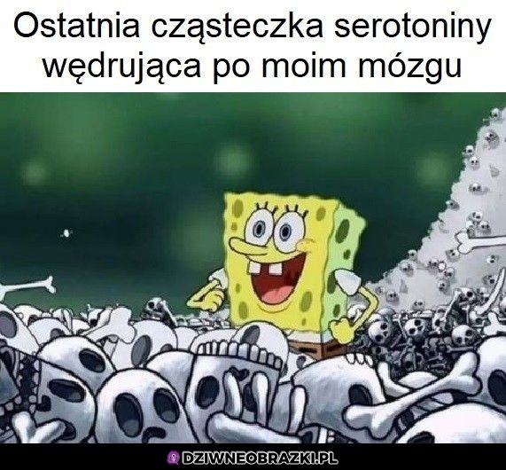 Tak wygląda