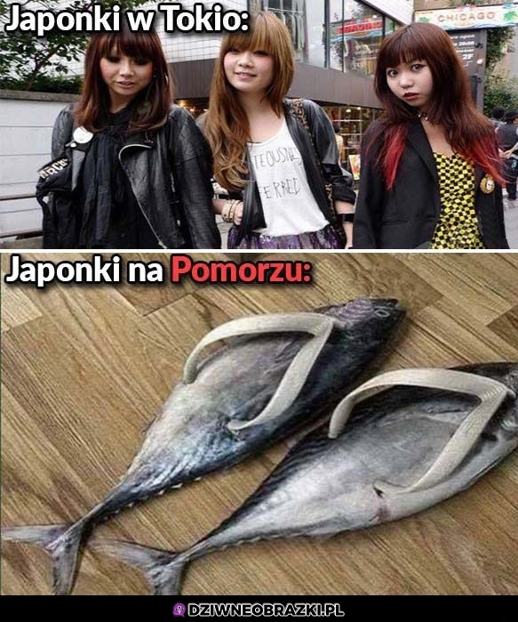 Różnica między Japonkami
