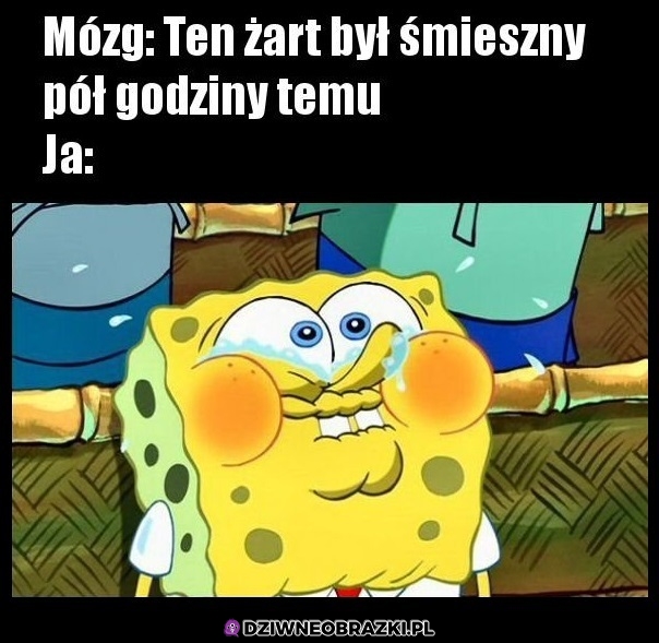 Kiedy głupawka wejdzie