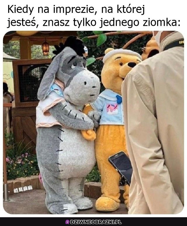 Tak to wygląda