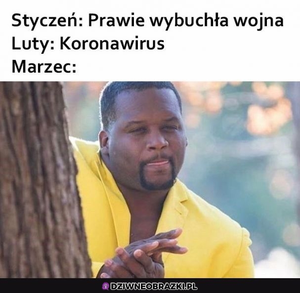 No nieźle nam idzie w tym roku