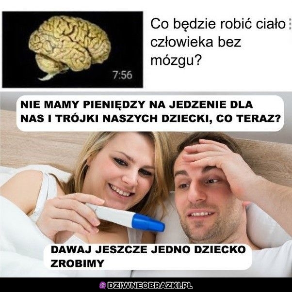 Co robi ciało bez mózgu?