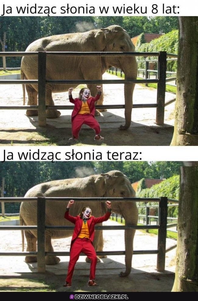 Kiedy widzę słonia