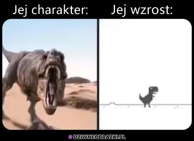 Taki ich wygląd