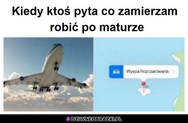 Co zamierzasz po maturze