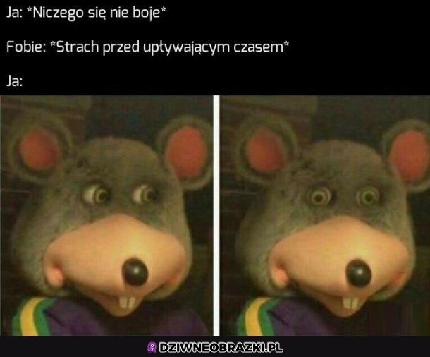 Poza tym jednym