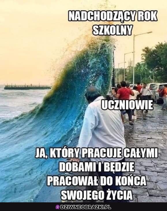 Już przywykłem