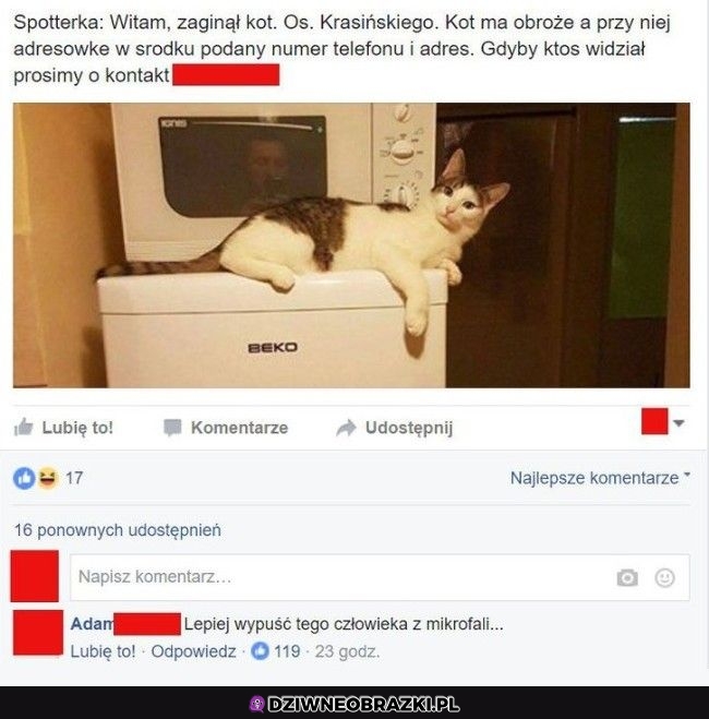 Ogłoszenie