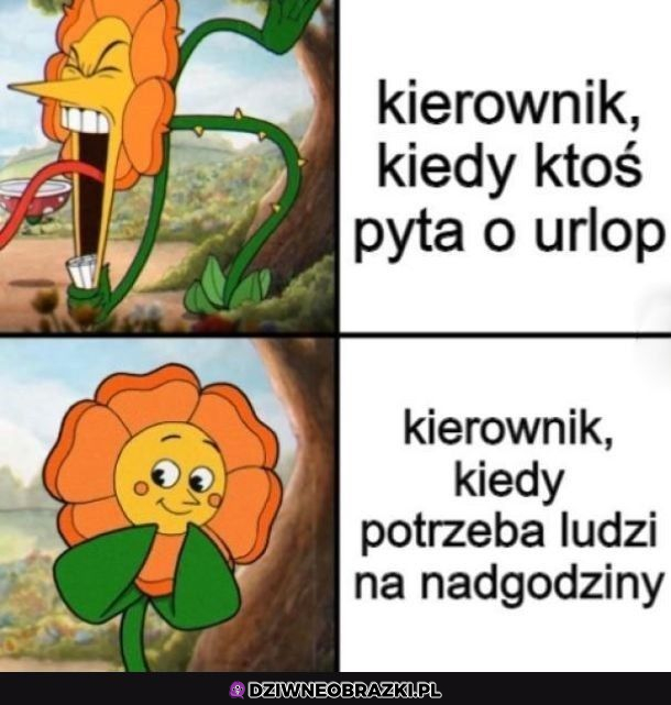 Dwa oblicza kierownika