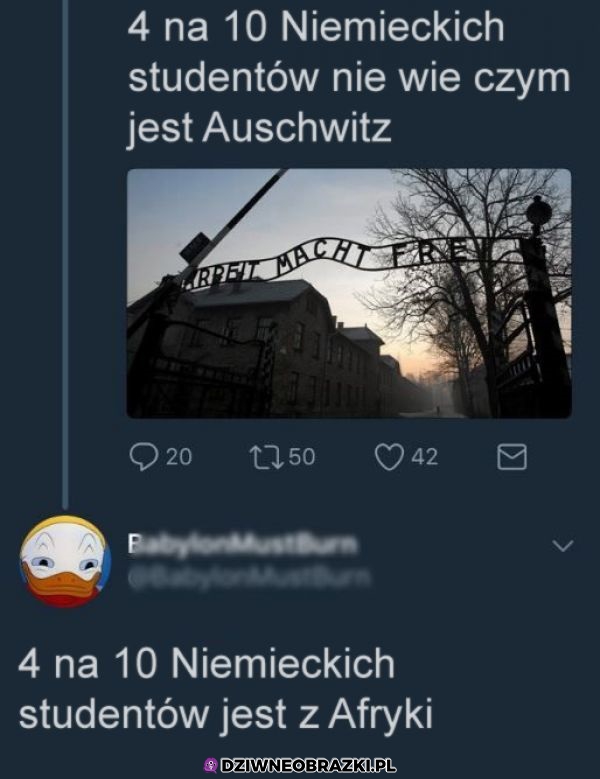 Niemcy i Aushwitz