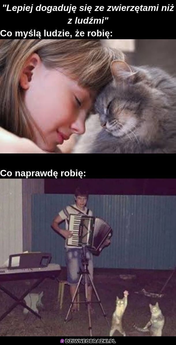 Dogadywanie ze zwierzętami