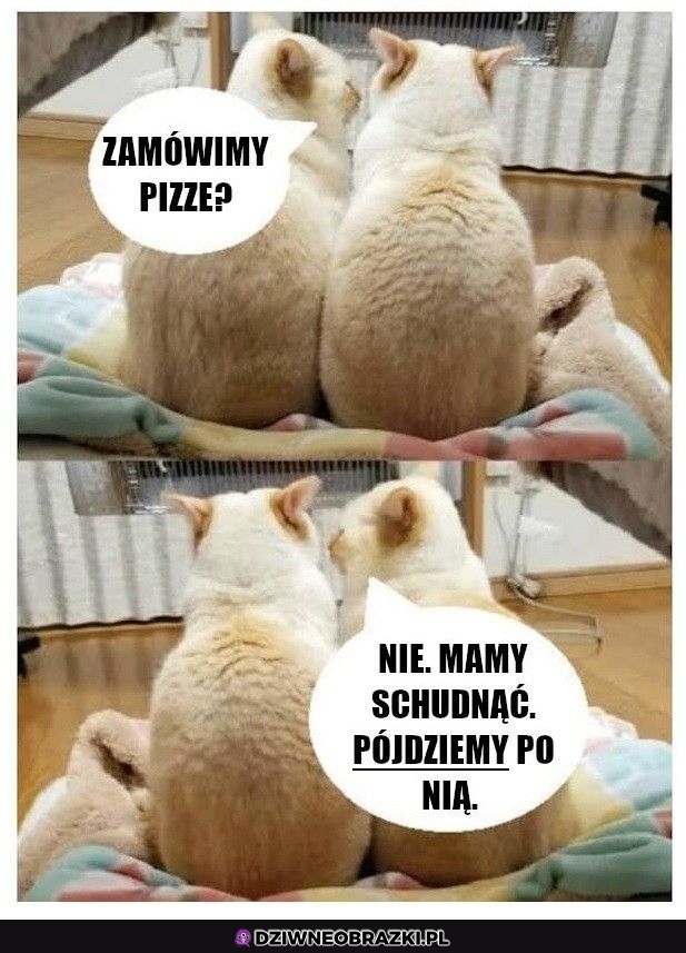 Zawsze to lepiej