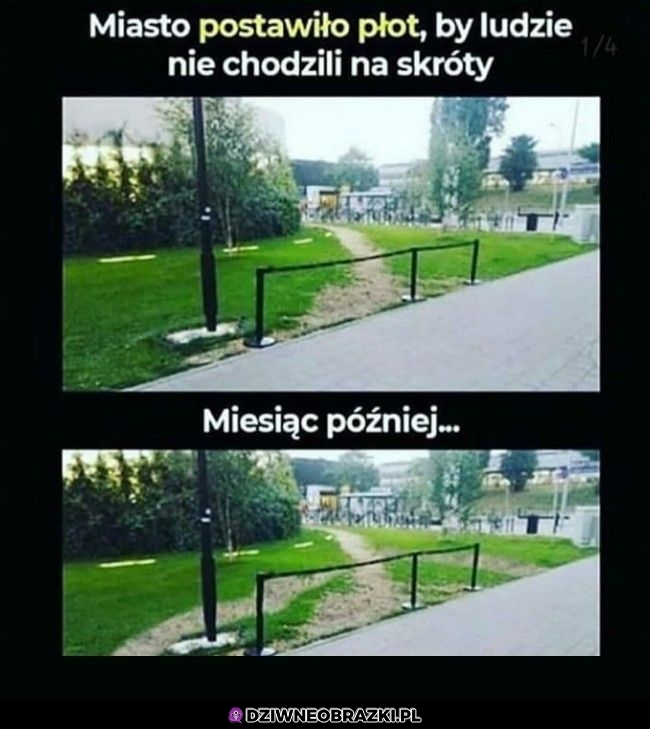 Genialny płotek