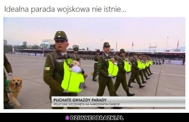 Parada idealna