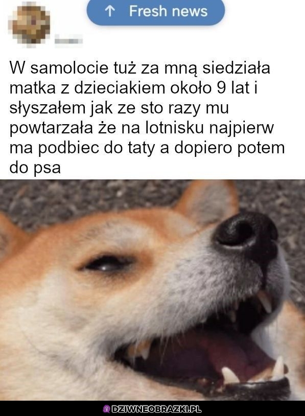 Instrukcja