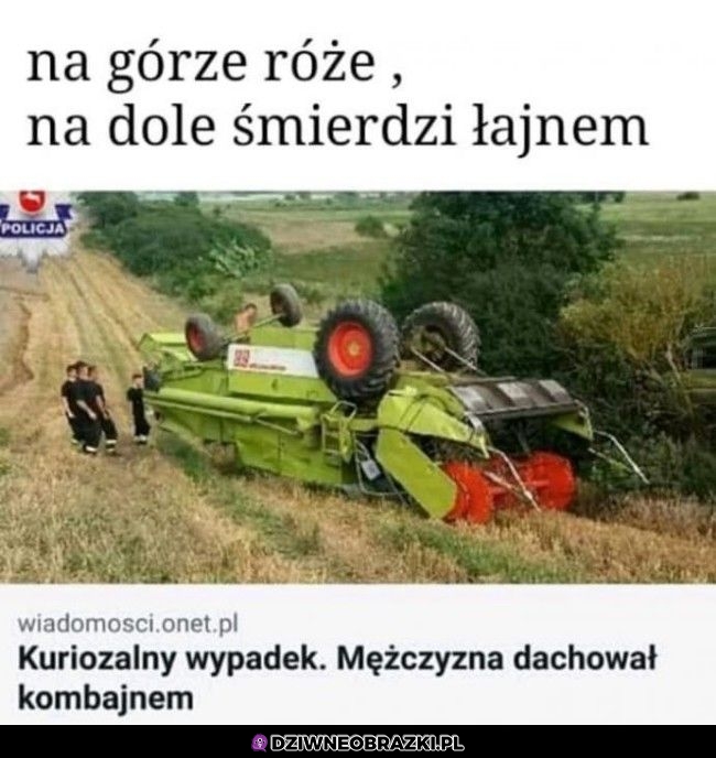 Ależ musiał zapierdalać