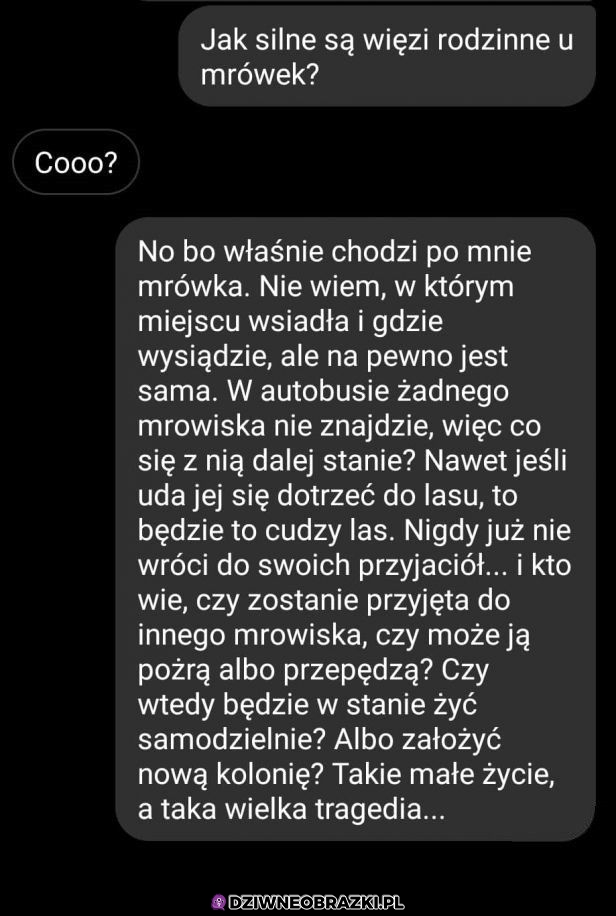 Kiedy bardzo nudzisz się w podróży