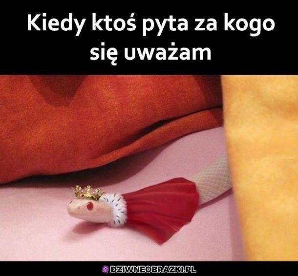 To przecież oczywiste