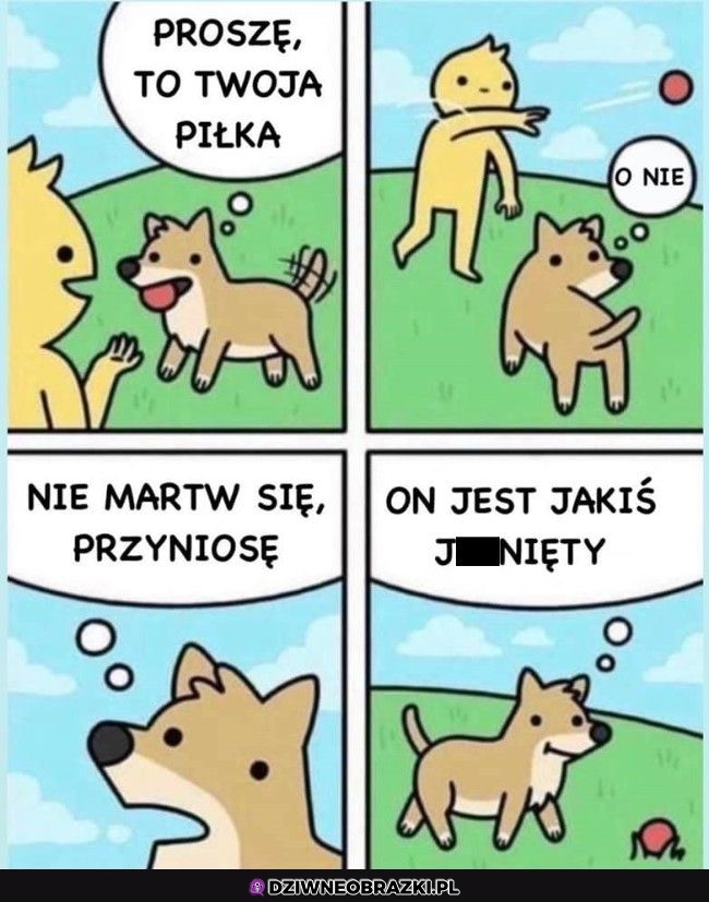 Co za typ