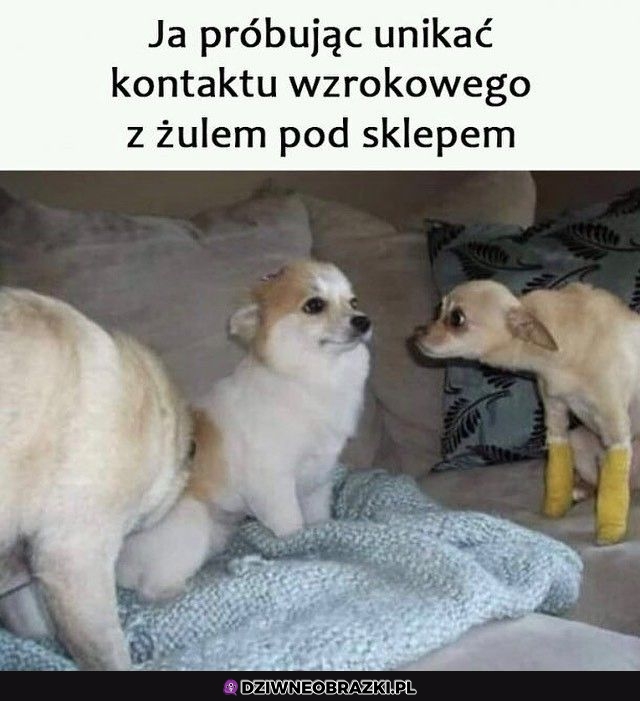 To ja