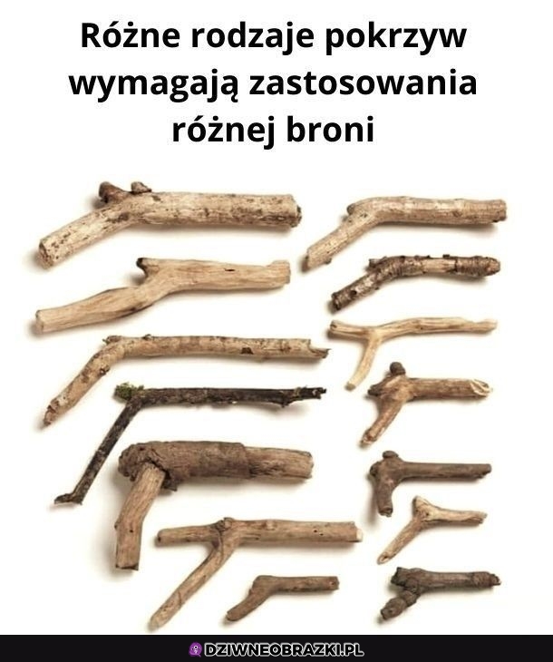 Prawdziwy arsenał