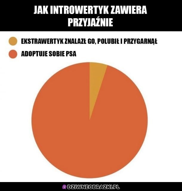 Przyjaźnie introwertyków