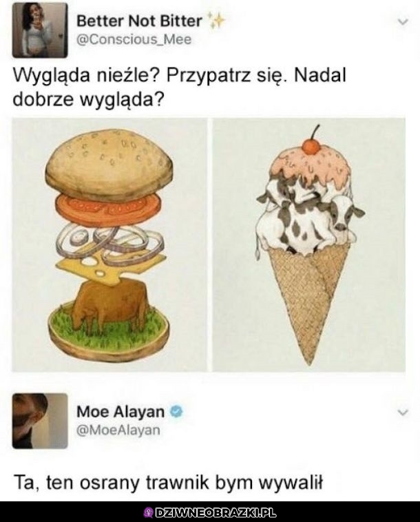 Nie mam z tym problemu