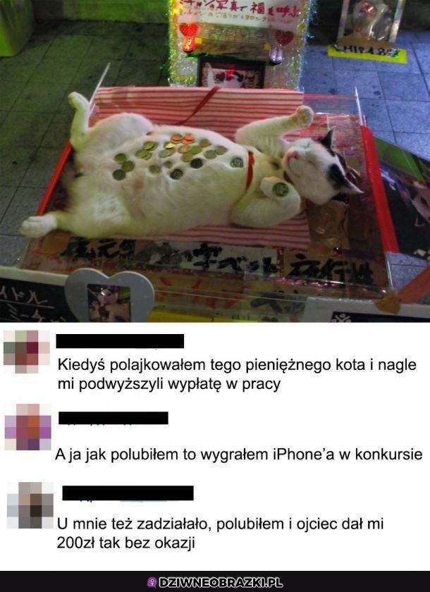 Pieniężne kitku