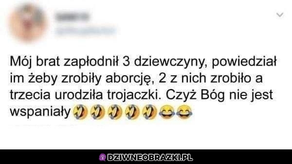 No wspaniały No wspaniały