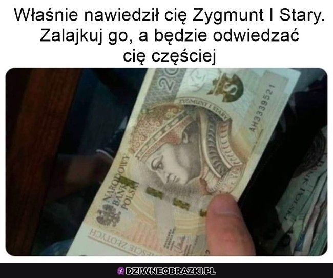 Wpadaj byku częściej