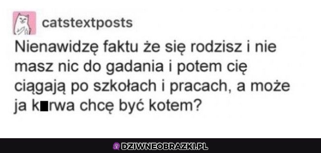Właśnie