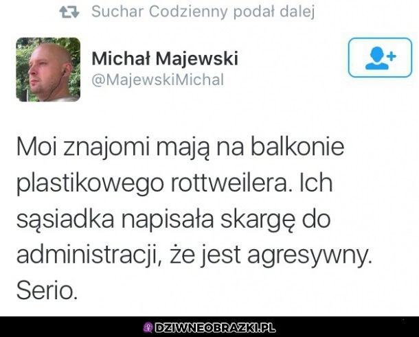 Kiedy sąsiadujesz z wredną mendą