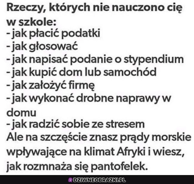 Super wiedza