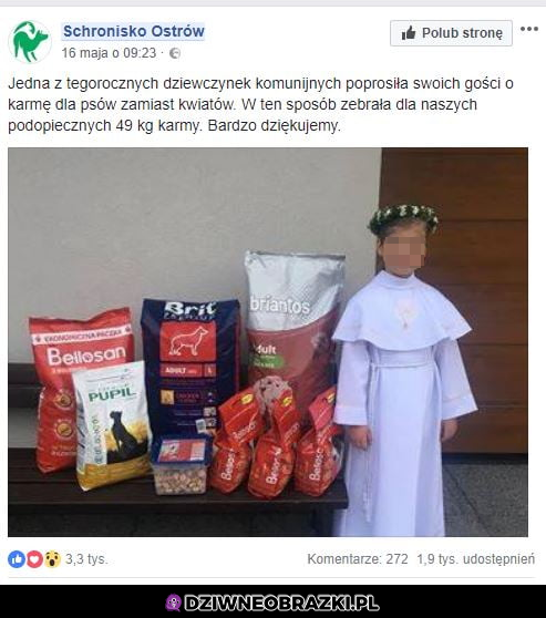 Brawo!
