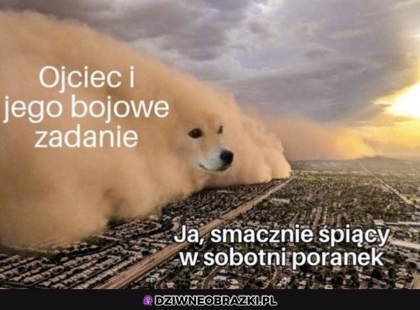 Bojowe zadanie takie jest