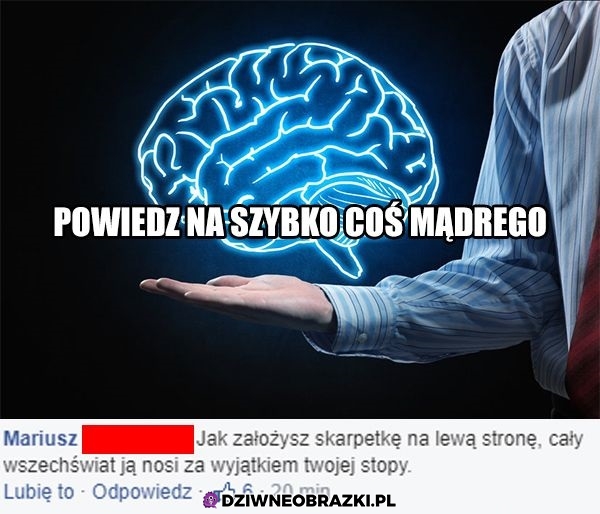 Jaka rozkmina!