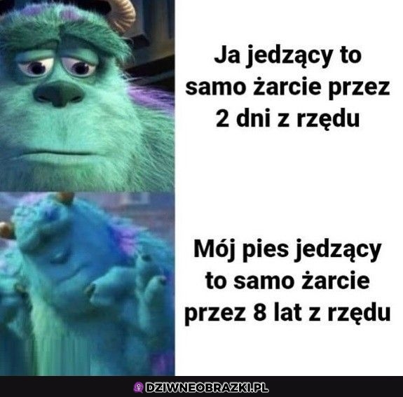 To samo żarcie