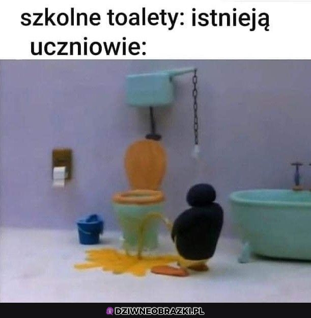 Szkolne kible takie są