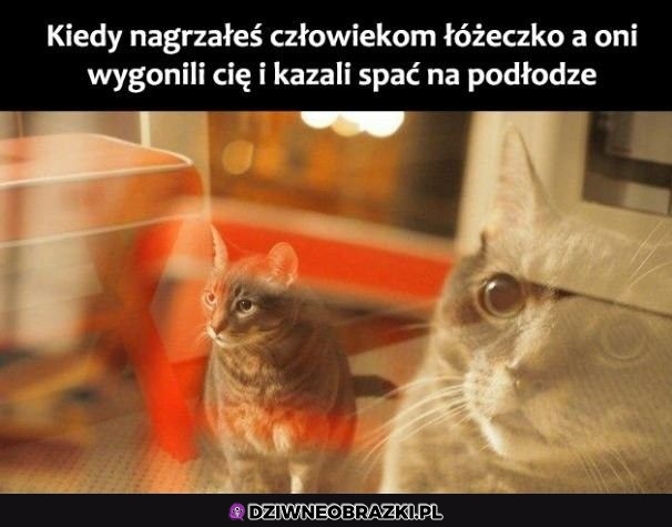 Jak śmieli