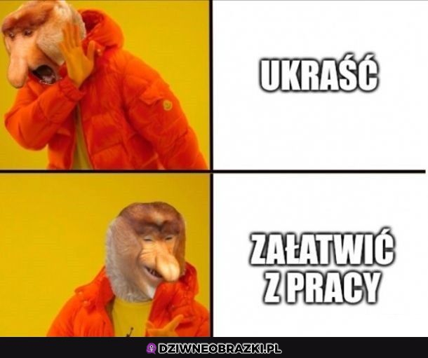 Załatwianie z pracy