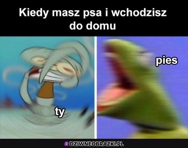 Ten moment