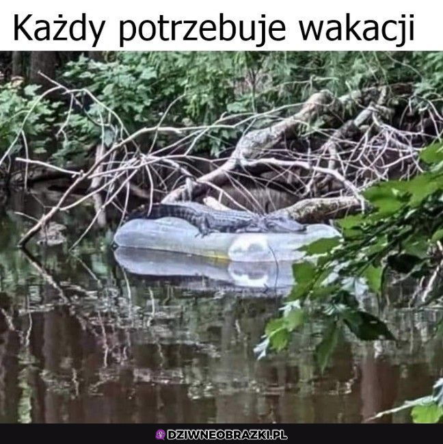 Dosłownie każdy....