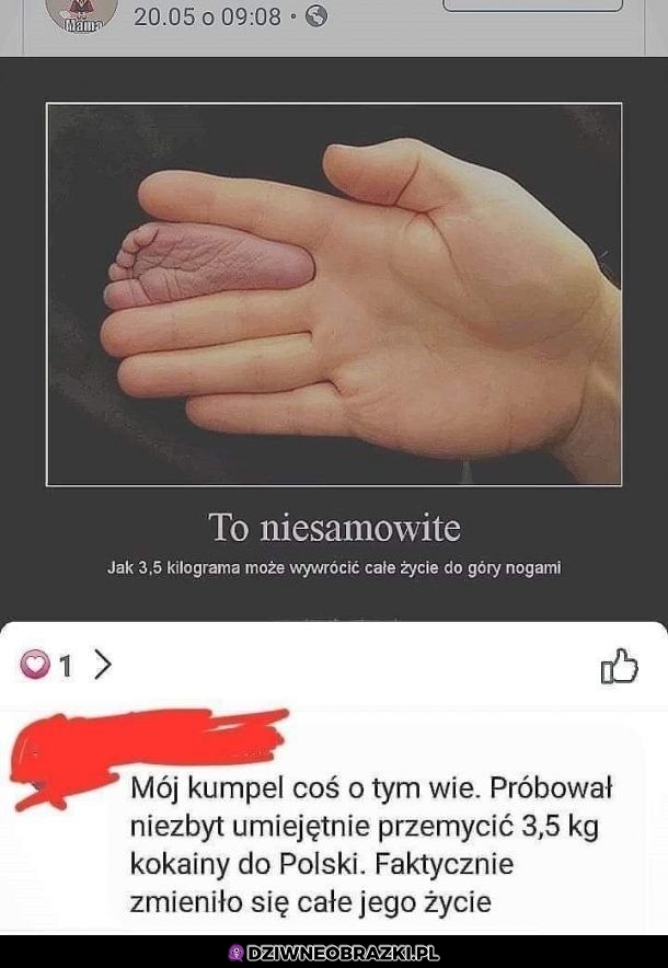 Faktycznie niesamowite
