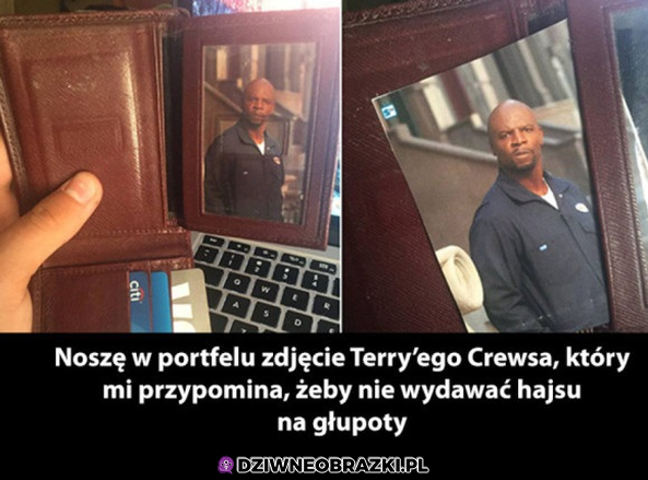 Terry pilnuje porządku