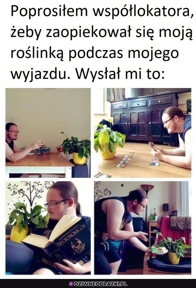 Najlepsza opieka